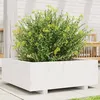 Image de Vidaxl JardiniÃ¨re Blanc 70x70x26,5 Cm Bois De Pin Massif