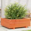 Image de Vidaxl JardiniÃ¨re Cire Marron 70x70x26,5 Cm Bois De Pin Massif
