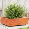 Image de vidaXL Jardinière cire marron 80x80x26,5 cm bois de pin massif847310