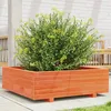 Image de Vidaxl JardiniÃ¨re Cire Marron 80x80x26,5 Cm Bois De Pin Massif