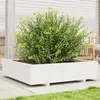 Image de vidaXL Jardinière blanc 100x100x26,5 cm bois de pin massif847319