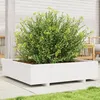Image de Vidaxl JardiniÃ¨re Blanc 100x100x26,5 Cm Bois De Pin Massif