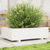 Image de Vidaxl JardiniÃ¨re Blanc 90x60x26,5 Cm Bois De Pin Massif