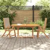Image de vidaXL Chaises pliables de jardin lot de 2 bois d'acacia et textilène4008423