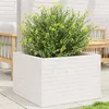Image de vidaXL Jardinière blanc 70x70x46 cm bois de pin massif3282415