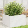 Image de vidaXL Jardinière blanc 80x80x46 cm bois de pin massif3282420