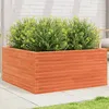 Image de vidaXL Vidaxl Jardinière Cire Marron 100x100x46 Cm Bois De Pin Massif