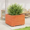 Image de Vidaxl JardiniÃ¨re Cire Marron 70x70x49,5 Cm Bois De Pin Massif