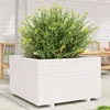 Image de Vidaxl JardiniÃ¨re Blanc 80x80x49,5 Cm Bois De Pin Massif