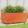 Image de Vidaxl JardiniÃ¨re Cire Marron 110x60x49,5 Cm Bois De Pin Massif