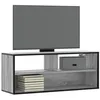 Image de vidaXL Meuble TV sonoma gris 100x31x39,5 cm bois d'ingÃ©nierie et mÃ©tal