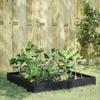 Image de Vidaxl Lit SurÃ©levÃ© De Jardin Noir 100x100x26 Cm Acier