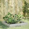 Image de Vidaxl Lit SurÃ©levÃ© De Jardin 100x100x26 Cm Acier Inoxydable