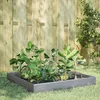 Image de Vidaxl Lit SurÃ©levÃ© De Jardin 100x100x26 Cm Acier Inoxydable