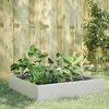 Image de Vidaxl Lit SurÃ©levÃ© De Jardin 100x100x33,5 Cm Acier Inoxydable