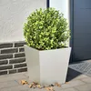 Image de Vidaxl JardiniÃ¨re 40x40x40 Cm Acier Inoxydable