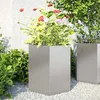 Image de Vidaxl JardiniÃ¨res 2 Pcs Hexagone 46x40x45 Cm Acier Inoxydable