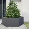 Image de vidaXL Vidaxl Jardinière Anthracite Hexagone 138x120x45 Cm Acier