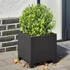 Image de vidaXL Jardinières 2 pcs noir 30x30x30 cm acier851186