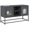 Image de vidaXL Meuble TV anthracite 100,5x39x60,5 cm acier853382