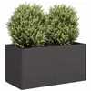 Image de vidaXL Jardinière noir 80x40x40 cm acier laminé à froid860668
