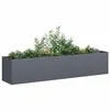 Image de vidaXL Jardinière anthracite 200x40x40 cm acier laminé à froid860684