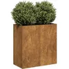 Image de Vidaxl JardiniÃ¨re RouillÃ© 80x40x80 Cm Acier Inoxydable