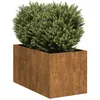 Image de Vidaxl JardiniÃ¨re RouillÃ© 40x80x40 Cm Acier Inoxydable