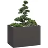 Image de Vidaxl JardiniÃ¨re Noir 120x80x80 Cm Acier
