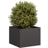 Image de Vidaxl JardiniÃ¨re Noir 40x40x30 Cm Acier
