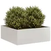 Image de vidaXL Jardinière 80x80x30 cm acier inoxydable860805
