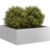 Image de Vidaxl JardiniÃ¨re 80x80x30 Cm Acier GalvanisÃ©