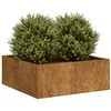 Image de vidaXL Jardinière rouillé 80x80x30 cm acier inoxydable860807