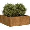 Image de Vidaxl JardiniÃ¨re RouillÃ© 80x80x30 Cm Acier Inoxydable