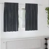 Image de Vidaxl Rideaux Avec Des Rideaux 2 Pcs Gris FoncÃ© 140 X 140 Cm Velours