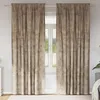 Image de Vidaxl Rideau Avec Des Rideaux 2 Pcs Champagne 225 X 140 Cm Velours