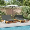 Image de vidaXL Chaise Longue Double Vidaxl, Avec Roulettes Et Coussin En Bois D'acacia