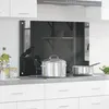 Image de vidaXL Dosseret De Cuisine Vidaxl Gris Foncé 90x60x0,6 Cm En Verre Trempé
