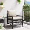Image de Vidaxl Chaise De Jardin Avec Coussins Noire 60x70x78 Cm En Osier