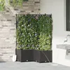 Image de JardiniÃ¨res Vidaxl Avec SystÃ¨me D'irrigation 3 Pcs Noir