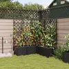 Image de vidaXL Jardinières Vidaxl Avec Système D'irrigation En Eau 5 Pcs Noir