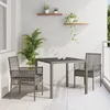 Image de Ensemble De Salle Ã Manger De Jardin 3 PiÃ¨ces Avec Coussins Gris En Poly Rotin