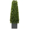 Image de Plante artificielle Eucalyptus avec pot 27x27x90 cm Vert