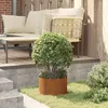 Image de vidaXL Vidaxl Jardinière En Acier Corten Acier Corten Acier Corten Moyen