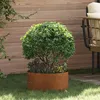 Image de vidaXL vidaXL Pot en acier corten Acier corten Grand Durable Rond