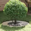 Image de vidaXL Cercle de Jardin Acier inoxydable Grand RÃ©sistant Circulaire