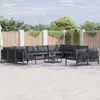 Image de Vidaxl Ensemble De CanapÃ© De Jardin 12 Pcs Anthracite Acier