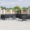 Image de Vidaxl Ensemble De CanapÃ© De Jardin 13 Pcs Anthracite Acier