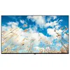 Image de TV LED LG 50UM767H0LJ 126 cm 4K UHD Bleu cendré