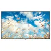 Image de LG 65UM767H TV 65" 4K Ultra HD Smart TV Wifi Bleu 380 cd/mÂ²